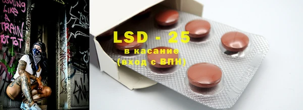 PSILOCYBIN Горняк