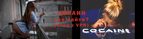 PSILOCYBIN Горняк