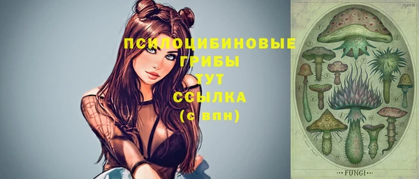 бутират Гусиноозёрск