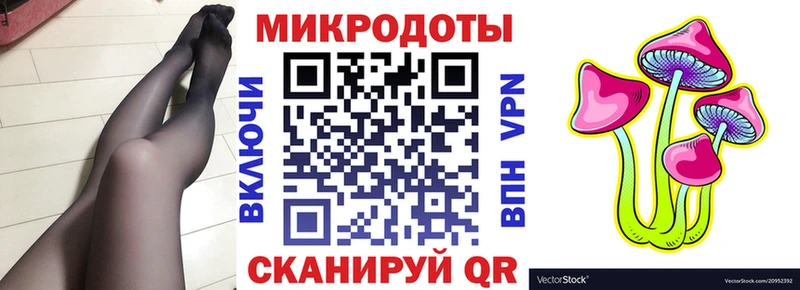 Псилоцибиновые грибы Psilocybe  Купить закладки  Касли 